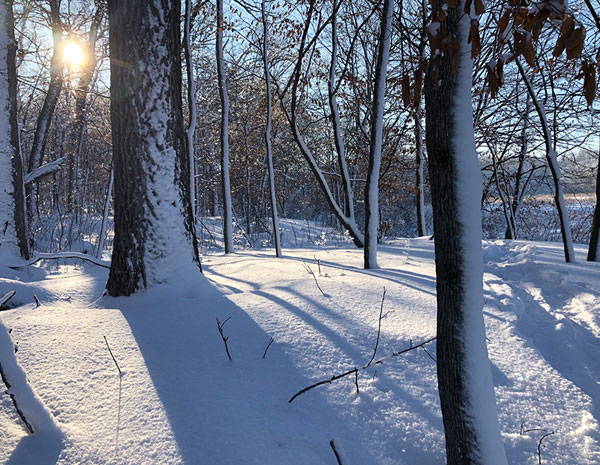 Winter trails in Carver County